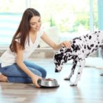 Planning your dogs meals for maximum taste and nutrition